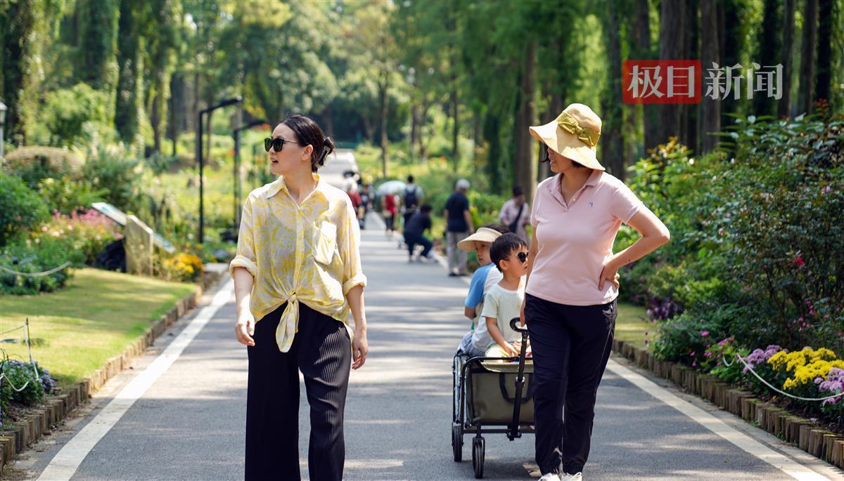新莆京愉乐城